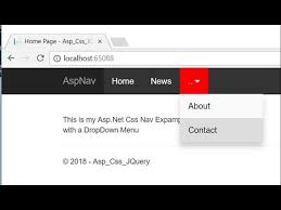 asp dropdown menu panel in asp net