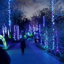 Lighting Up Elmwood Park And Philadelphia Zoos Get Into The