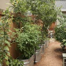 growing vegetables in urban planters