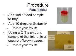 A positive test for sudan iv turns. Identifying Macromolecules In Food Lab Introduction Carbohydrates Proteins