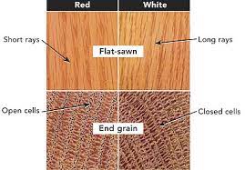 white oak vs red oak the flooring