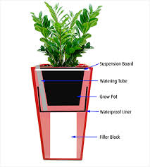 Pot Dimensions Jarrett Indoor Plant Hire
