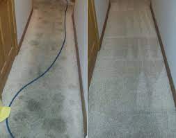 carpet cleaning wentzville mo carpet