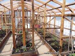 Guide To Build A Wood Greenhouse