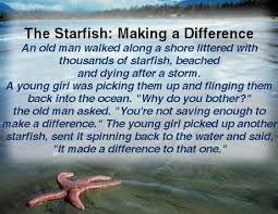 starfish make a difference caign