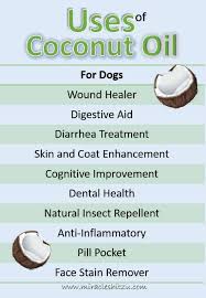It is a great substitute for many beauty and skin care products. Benefits Of Coconut Oil For Shih Tzu Dogs