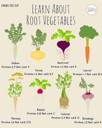 top 8 low carb root vegetables
