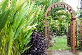 10 Easy Diy Garden Arbor Arch Ideas