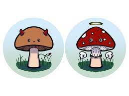cute mushrooms profile pictures