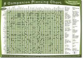 Pin Su Companion Planting