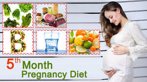 Pregnancy Diet Chart Month By Month In Telugu Www