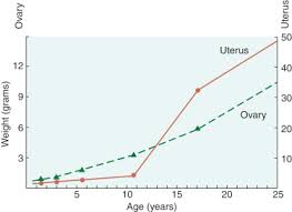 Puberty An Overview Sciencedirect Topics