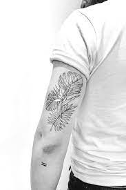 La Peau Dure - tatouage tropical - oiseau du paradis- palmier - monstera |  Tatouage tropical, Tatouage, Tatouage moderne