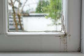 repair or replace my leaking windows