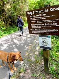 dog friendly redwoods how to bring