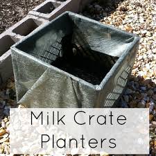 Milk Crate Planters How To Grow