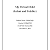 My Virtual Child Final Paper