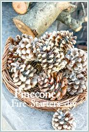 Pinecone Fire Starters Diy Stonegable