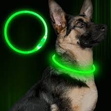 Pet Supplies Collar Charms 6 Extra Batteries Waterproof Safety Pet Lights With 3 Flashing Modes For Night Walking Morpilot Dog Collar Lights 6pcs Clip On Dog Cat Led Collars Lights Colorful Light Up