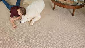 how to choose the best carpet for your home