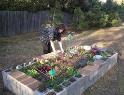 12 inspiring square foot gardening