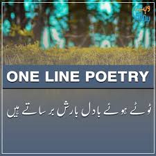 one line poetry best 1 line shayari
