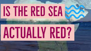 why is the red sea called so you