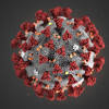Story image for Coronavirus COVID-19 from Vancouver Sun