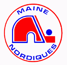 10 лучших команд в истории нхл в(10 best teams history nhl). Maine Hockey History Maine Mariners Maine Hockey History