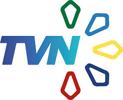 Tvn is a perfect sample of how a logo turns up to be a clear distinctive of its brand. Esqua1