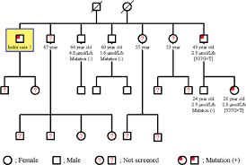Pedigree Family Chart Of Case 1 Download Scientific Diagram