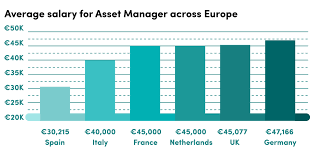 asset manager salary pay audit