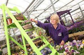 operating profits rise at garden centre