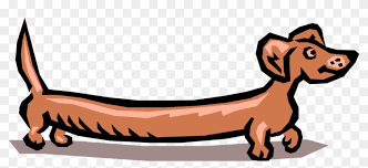 Dedicated to the dog that's long enough to have it's own zip code, you'll even find pictures of dachshund puppies that highlight this breeds cuteness. Vector Illustration Of Cartoon Wiener Dog Dachshund Weiner Dog Clip Art Free Transparent Png Clipart Images Download