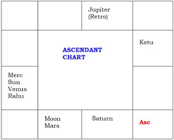 Vedic Nadi Astrology For Career Profession