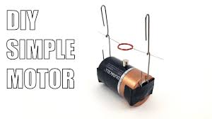 simple electric motor science project