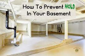 Basement Mold Tips