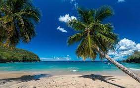 Cheap Caribbean Vacations gambar png