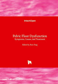 pelvic floor dysfunction englisches