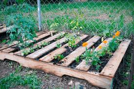 Grow Your Own With Pallets Universal