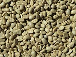 ビックリ】コーヒー豆のほとんどにカビが存在？！あなたも飲んでいるかも | オウチノコト