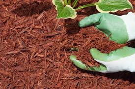 is d mulch safe to use here s one
