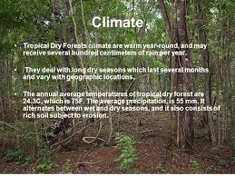 Tropical Dry Forest By Cody Osif Climate Tropical Dry