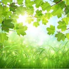 green natural background vector for