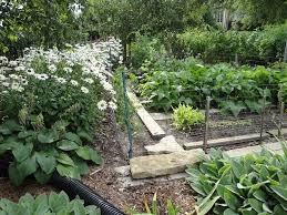 Vegetable Garden In Your Waukesha Yard