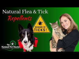natural flea and tick remes for dogs