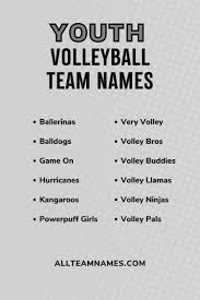 111 volleyball team names that are a hit