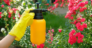 best insecticides for vegetable gardens