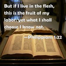 Ronnie) (v5) 03 — 110st (feat. Philippians 1 22 But If I Live In The Flesh This Is The Fruit Of My Labor Yet What I Shall Choose I Know Not