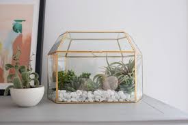Building a greenhouse doesn't have to break the bank or be completely overwhelming. How To Make A Diy Mini Greenhouse